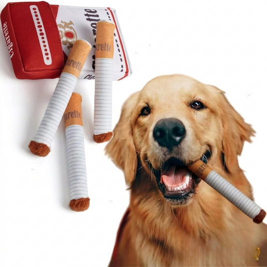 Fetcherie - Funny Dog Toy